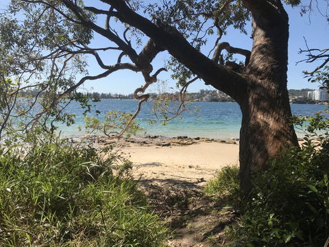 Queenscliff Beach Apartment - Accommodation QLD 1