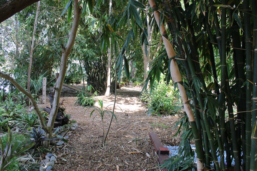 Bohnock NSW Accommodation QLD
