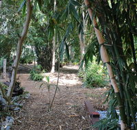 Rainforest Water Front River Shack Secluded. - Accommodation QLD