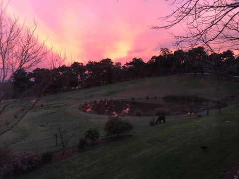 Raynella Alpaca Farmstay - Accommodation QLD 1