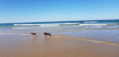 Red Door Beach House - Marcoola Beach - PET FRIENDLY, FOXTEL, WIFI, 500 BOND, Linen Supplied - Accommodation QLD 1