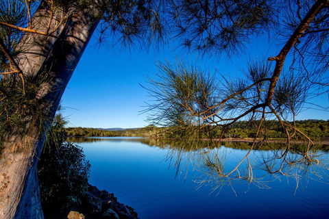 Reflections Holiday Parks Ferry Reserve - Accommodation QLD 3