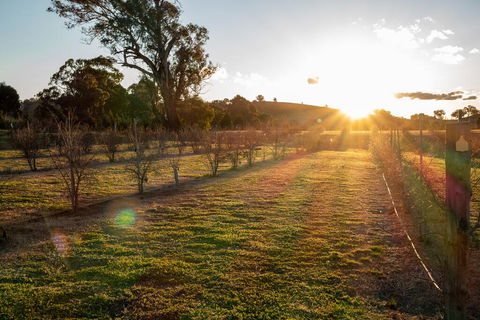 Riverview Farm & Guesthouse - Accommodation QLD 3