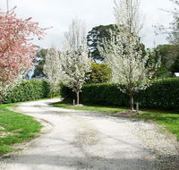 Robin Hill Manor - rambling retreat  tennis court - Accommodation QLD
