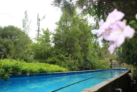 Rosebank Homestead And Farmstay - Accommodation QLD 3