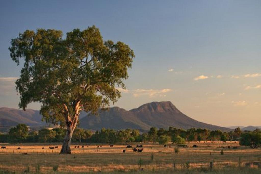 Rubicon ACT Accommodation QLD