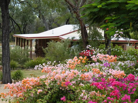 Rubyvale Motel & Holiday Units - Accommodation QLD 3