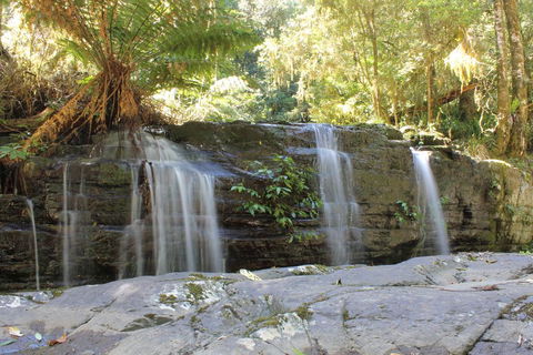Salisbury Lodges - Accommodation QLD 1