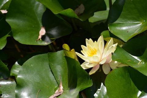 Salisbury Lodges - Accommodation QLD 3