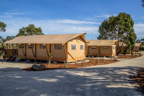 Scamander Sanctuary Holiday Park - Accommodation QLD 1