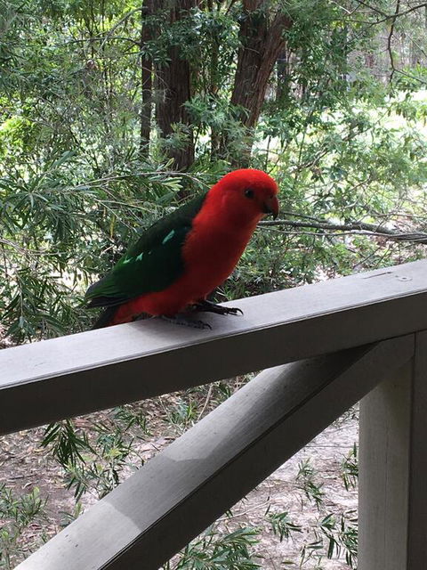 Sea Nest - Accommodation QLD 1