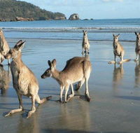 Seaforth Holiday Units - Accommodation QLD