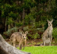 Secura Lifestyle Countryside Kalaru - Accommodation QLD