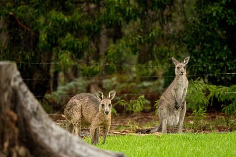 Secura Lifestyle Countryside Kalaru - Accommodation QLD 0
