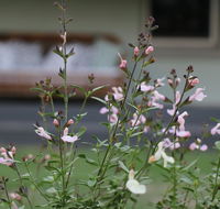 Serendipity on Allyn - Accommodation QLD