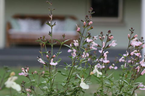 Serendipity On Allyn - Accommodation QLD 0