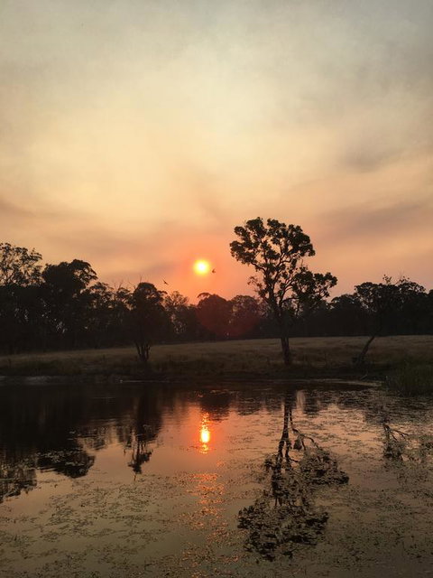Serenity On Stanthorpe - Accommodation QLD 2