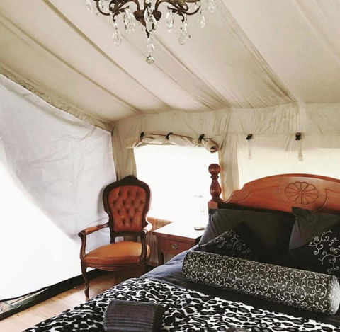 Silk Pavilions Glamping - Accommodation QLD 1