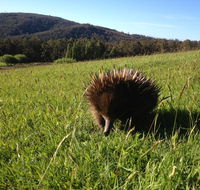 Silver Ridge Retreat - Accommodation QLD