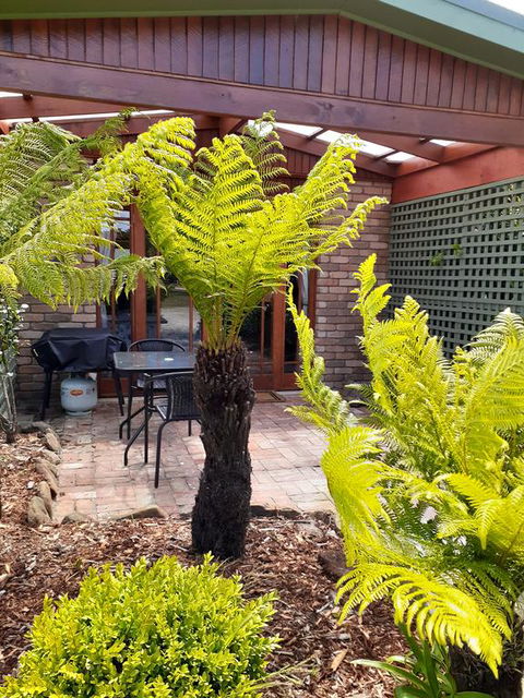 Sleepy Hollow Hideout (Hidout 2) - Accommodation QLD 1