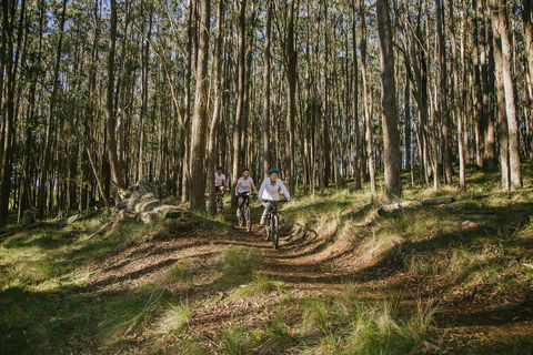 Spicers Peak Lodge - Accommodation QLD 3