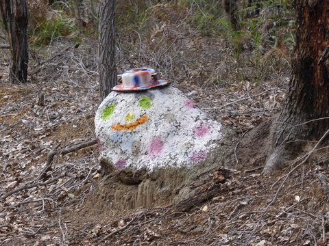 Splendid Wren Cottage - Accommodation QLD 3