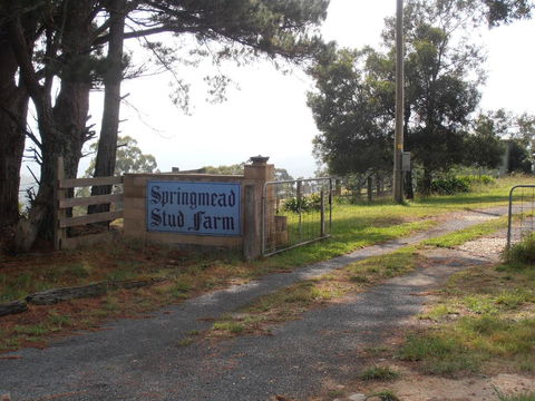 Springmead B&B - Accommodation QLD 2