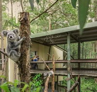Springwood Meditation Centre - Accommodation QLD