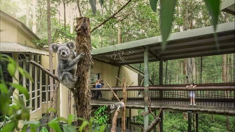 Springwood Meditation Centre - Accommodation QLD 0