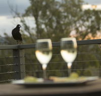 Stockton Rise Country Retreats - Accommodation QLD