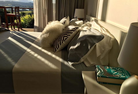 Studio With Stunning Mountain Views - Accommodation QLD 2