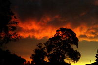 Book Thulimbah Accommodation Vacations Accommodation QLD Accommodation QLD