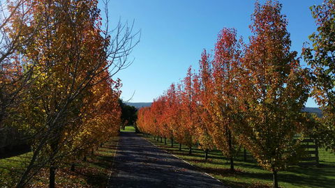 Tamar Valley Farm Stay - Accommodation QLD 3