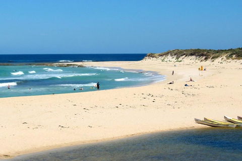 Tea Tree - Accommodation QLD 2