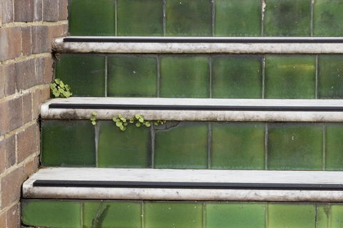 The Alison Randwick - Accommodation QLD 2