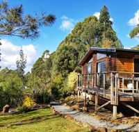 Southern Forest Accommodation - Accommodation QLD