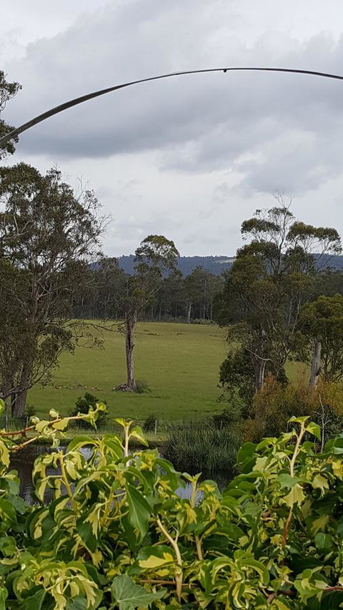 Hazelcreek Cottages - Accommodation QLD 34