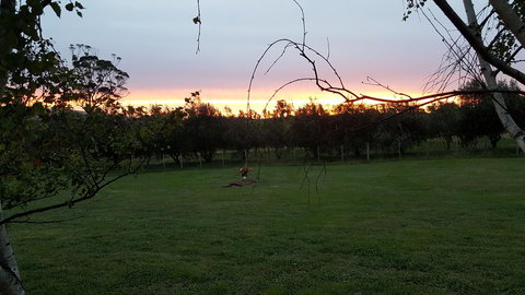 Hazelcreek Cottages - Accommodation QLD 33