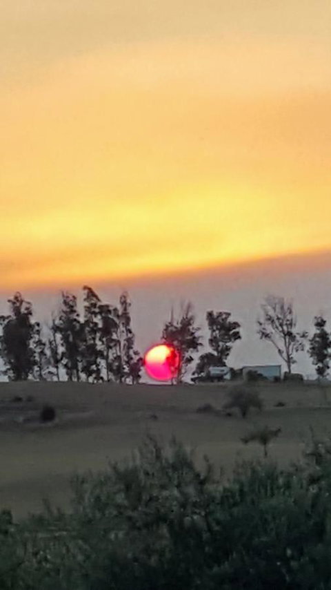 Hazelcreek Cottages - Accommodation QLD 31