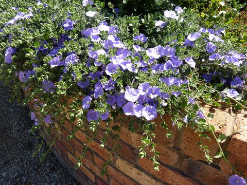 Hazelcreek Cottages - Accommodation QLD 27