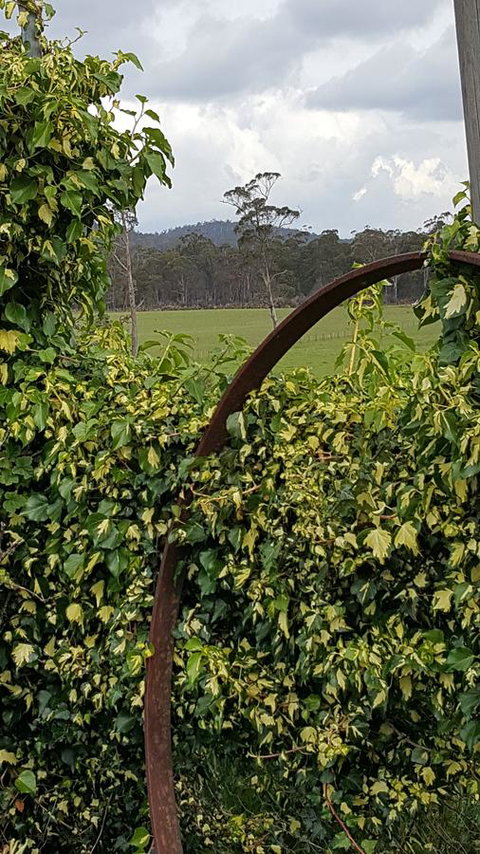 Hazelcreek Cottages - Accommodation QLD 36