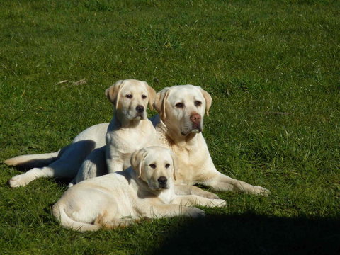Hazelcreek Cottages - Accommodation QLD 26