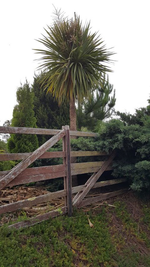 Hazelcreek Cottages - Accommodation QLD 38