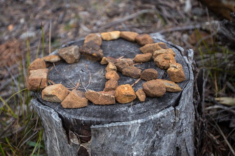 Rocky Hills Retreat - Accommodation QLD 15