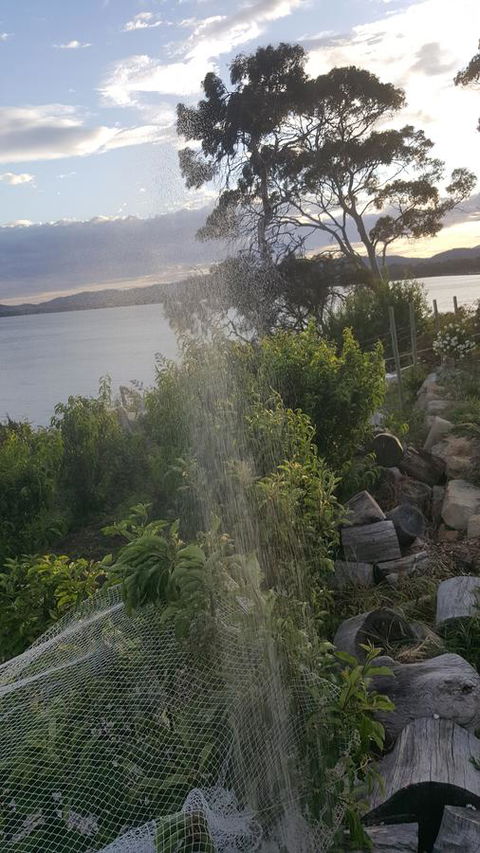 AppleBay Guest House - Accommodation QLD 21