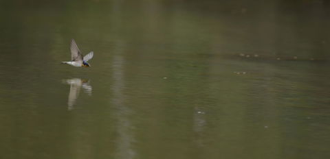 Naivasha Cottage - Accommodation QLD 13