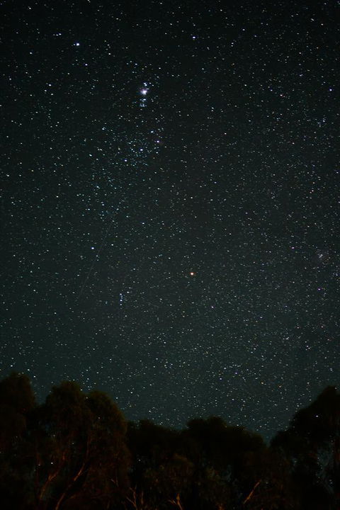 Naivasha Cottage - Accommodation QLD 14