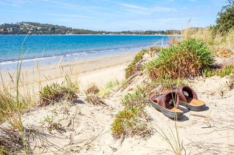 Aqua Beachfront! - Accommodation QLD 8