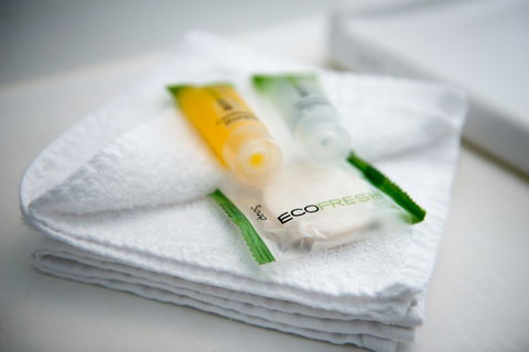 Beachfront Bicheno - Accommodation QLD 32