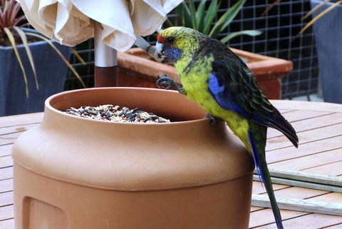 THE LOFT @ Bay Of Fires Seascape - Accommodation QLD 22